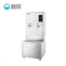 碧丽bili商用开水器W-K30/W-03大型电热开水机全自动进水304不锈钢大容量饮水机带过滤双开3KW步进式热水器 